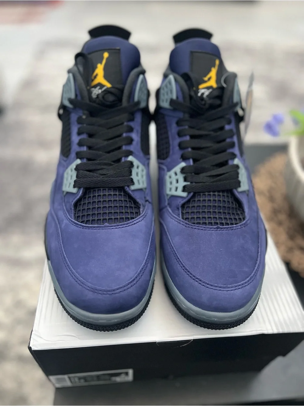 Jordan brand new